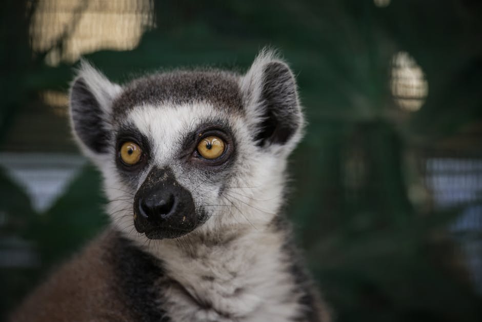 麗珠蘭水光針：讓肌膚重現水嫩光彩的秘密武器