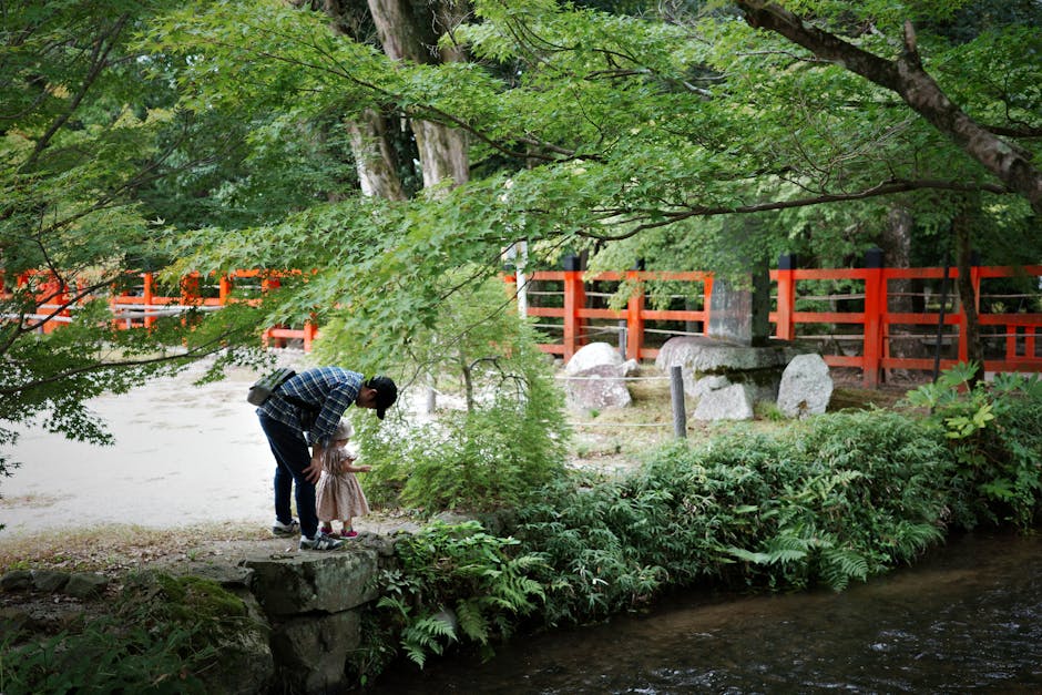 延期年金比較：深度探索未來財務保障的藝術